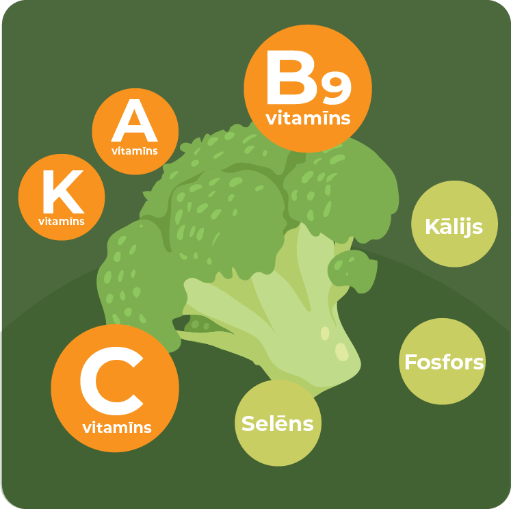 Brokoļi - vitamīnu un minerālvielu avots