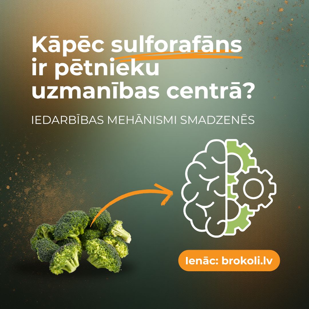sulforafans-smadzenes.jpg